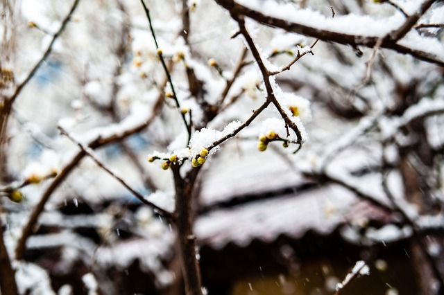 申花即通过