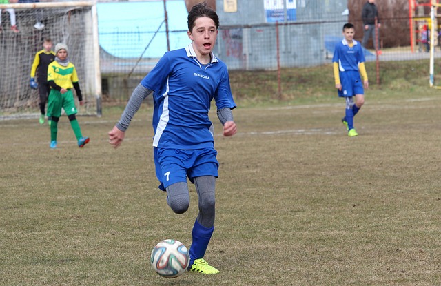 在本文中 在本文中