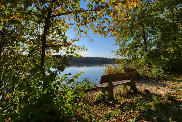 青春激荡 青春激荡