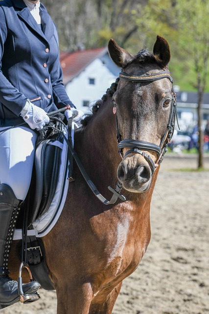 仅巩固了快 仅巩固了快