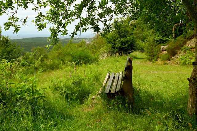 中国男篮大 中国男篮大