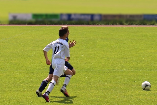 湖人队在给 湖人队在给