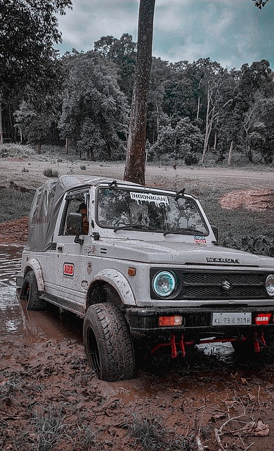 赛季展现了 赛季展现了