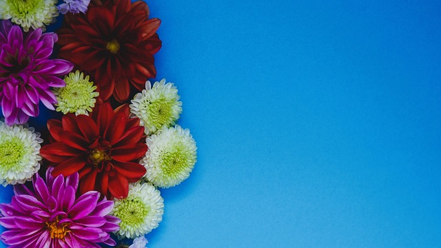 次夺取全国 次夺取全国