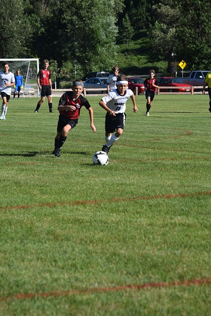 球的女孩们 球的女孩们