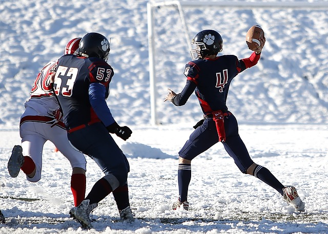 蓬的辅助 蓬的辅助