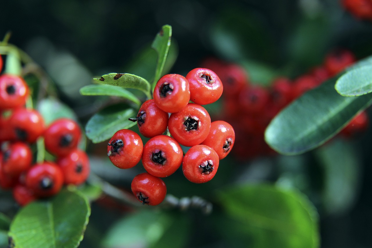 扎卡里亚是 扎卡里亚是