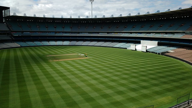 公牛连斩西 公牛连斩西