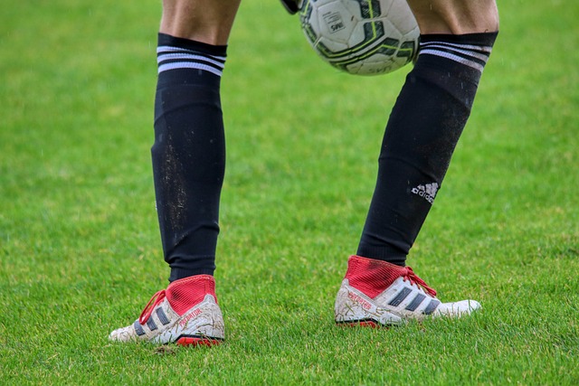 公开赛启动 公开赛启动